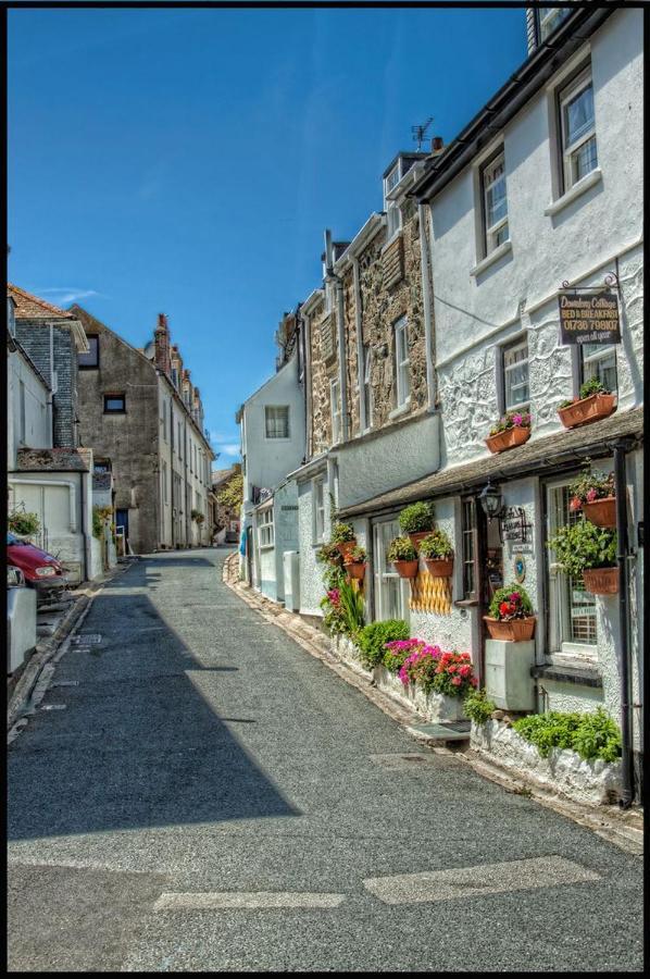 Primrose House Bed & Breakfast St Ives  Bagian luar foto
